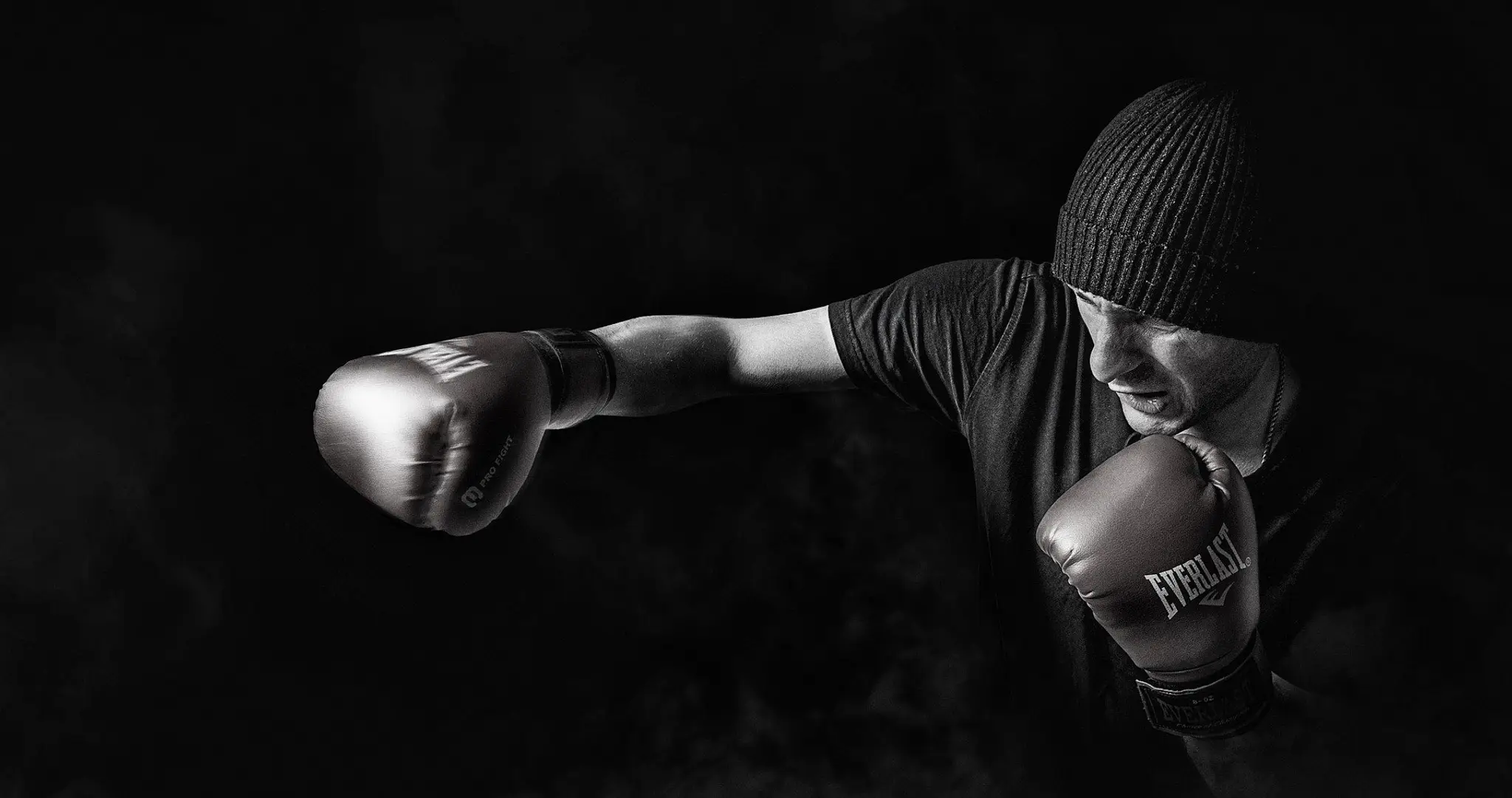 School Jeet Kune Do Concept