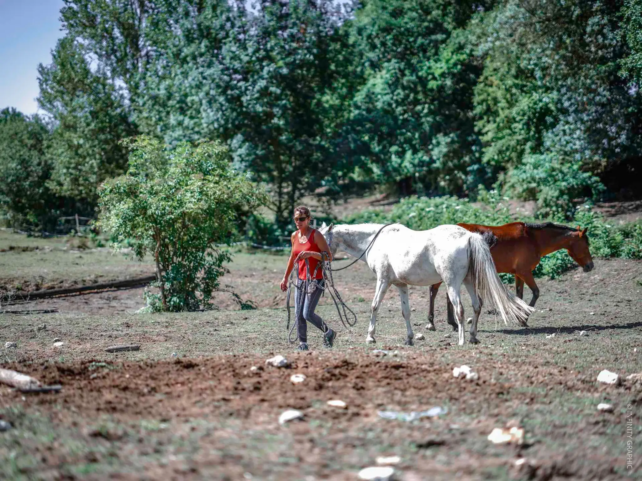 Les Ecuries De La Burgue
