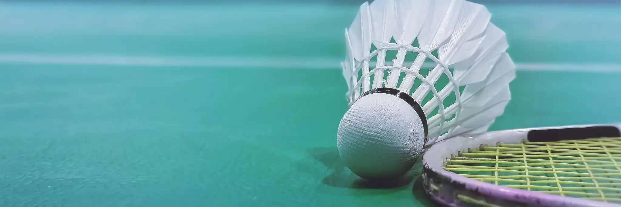 NT Badminton Association