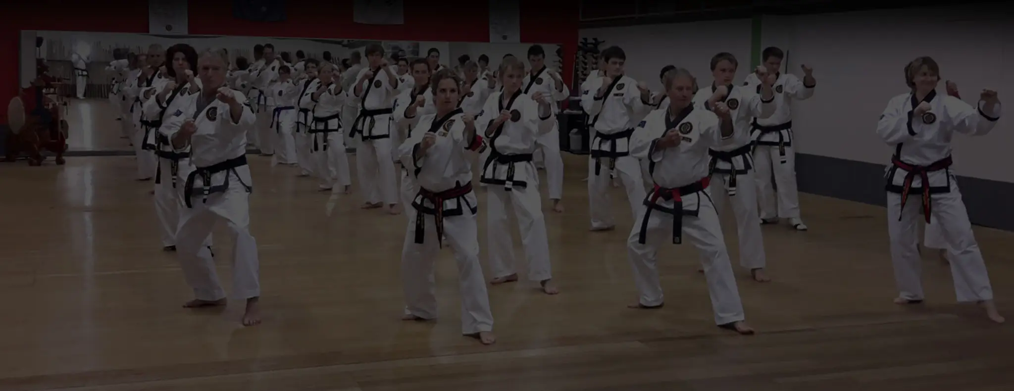 Asia Pacific Tang Soo Do