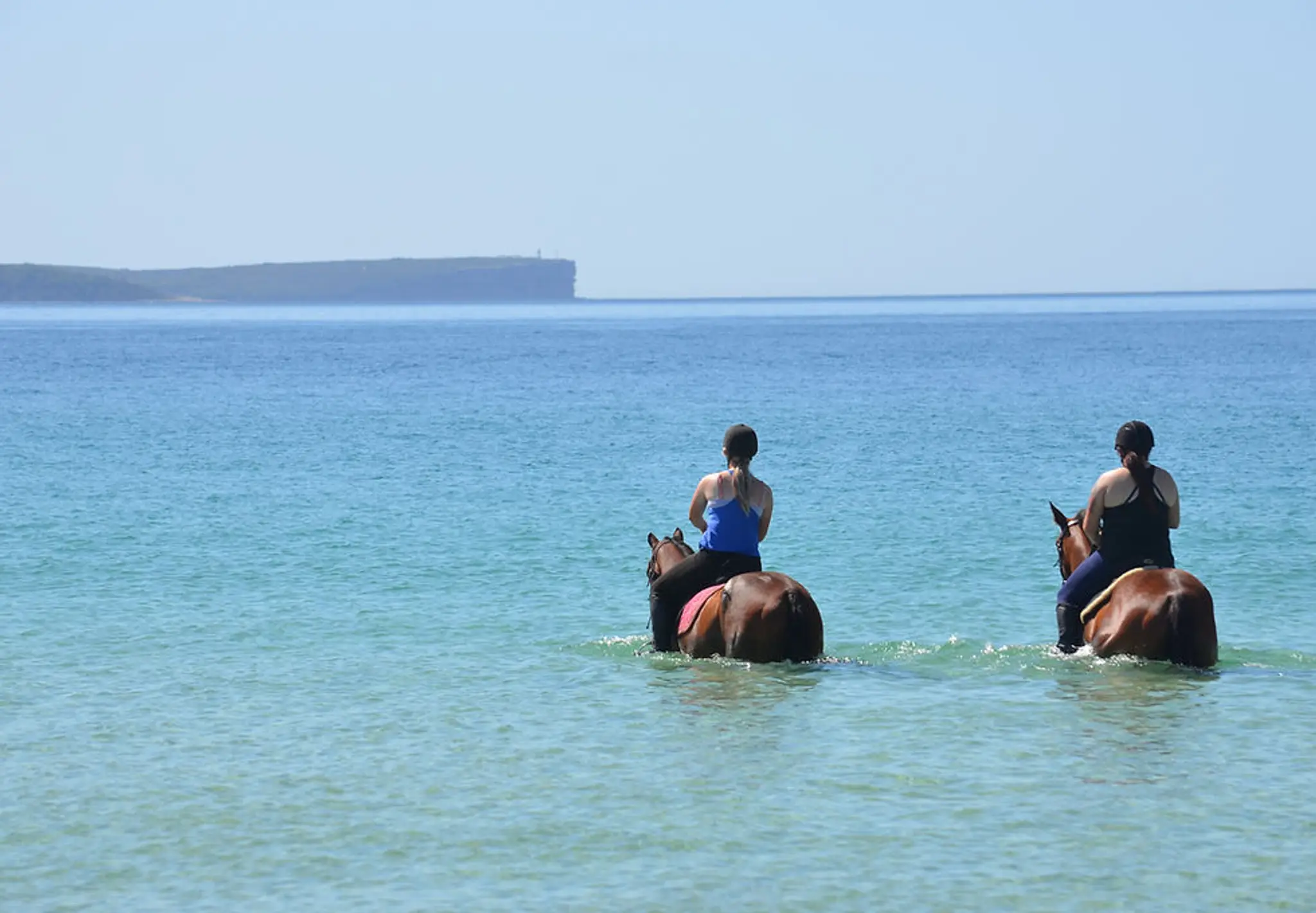 MMs Equine Sanctuary