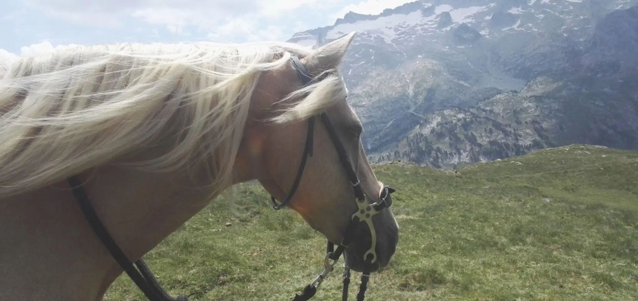 Les chemins de Diva