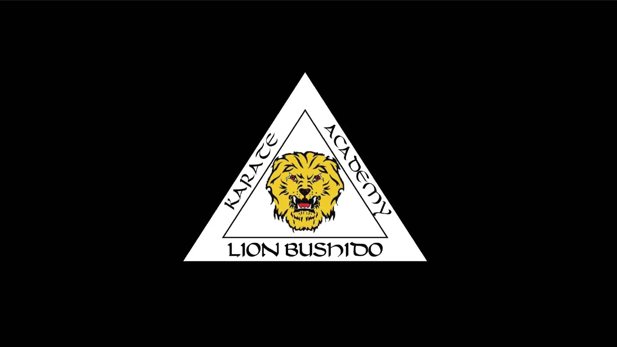 Lion Bushido Karate Academy Dandenong