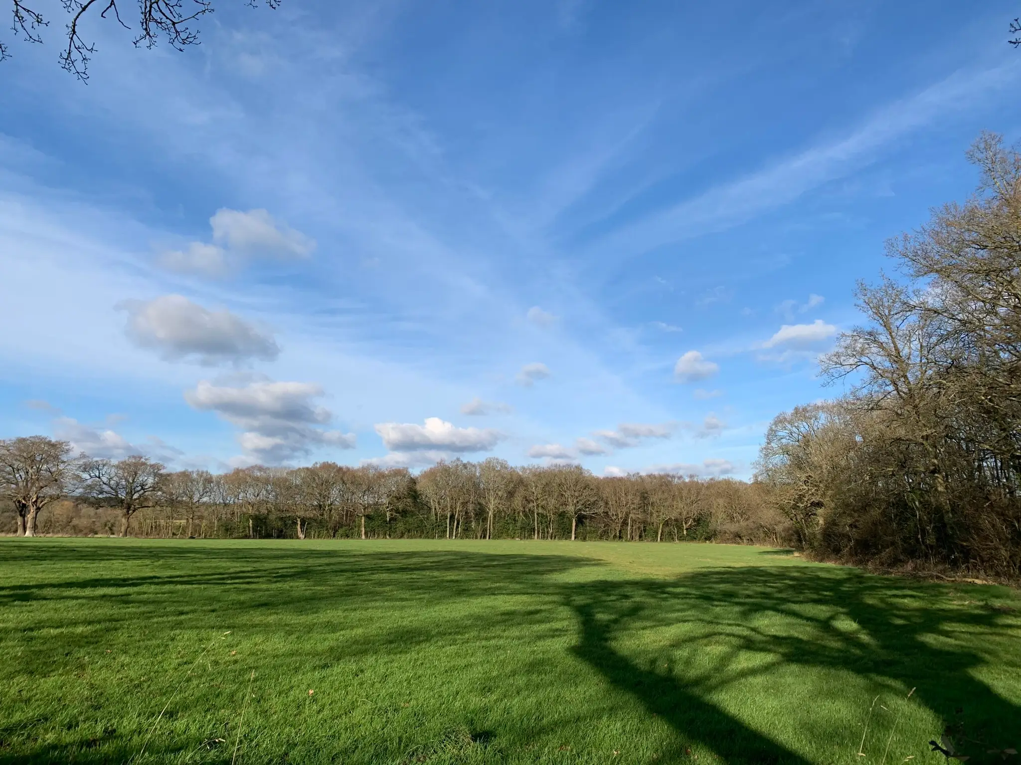 Yoga at The Oaks Guildford