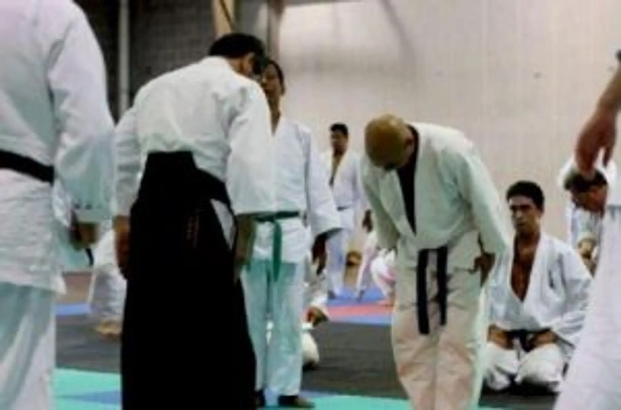 Aikido Yoshinkai ACT