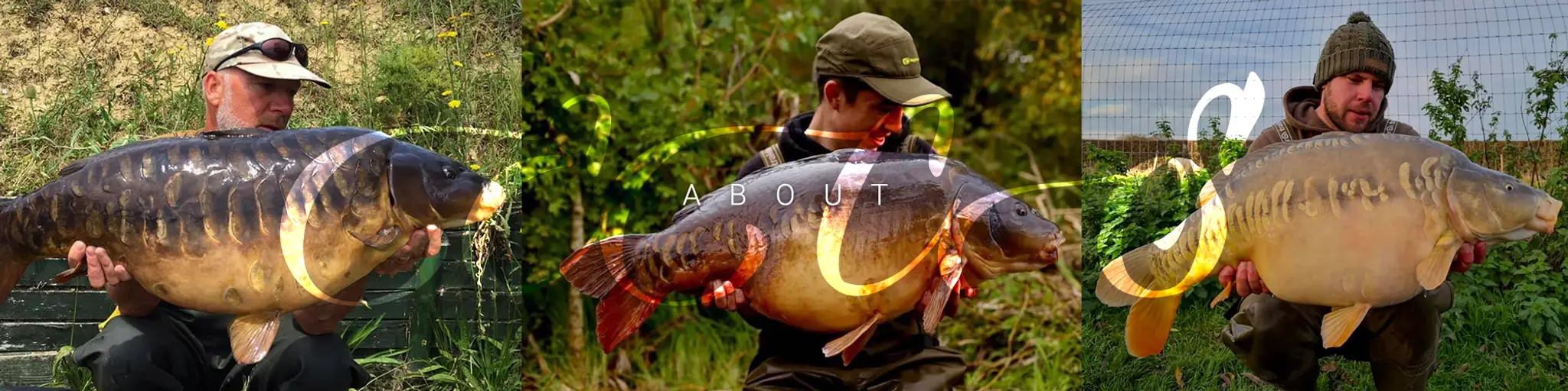 The Mill Carp Fishery