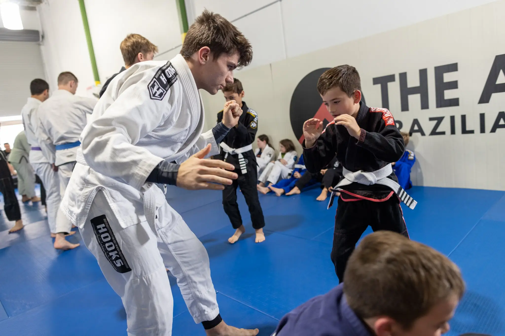 The Agoge Brazilian Jiu-Jitsu- Martial Arts School