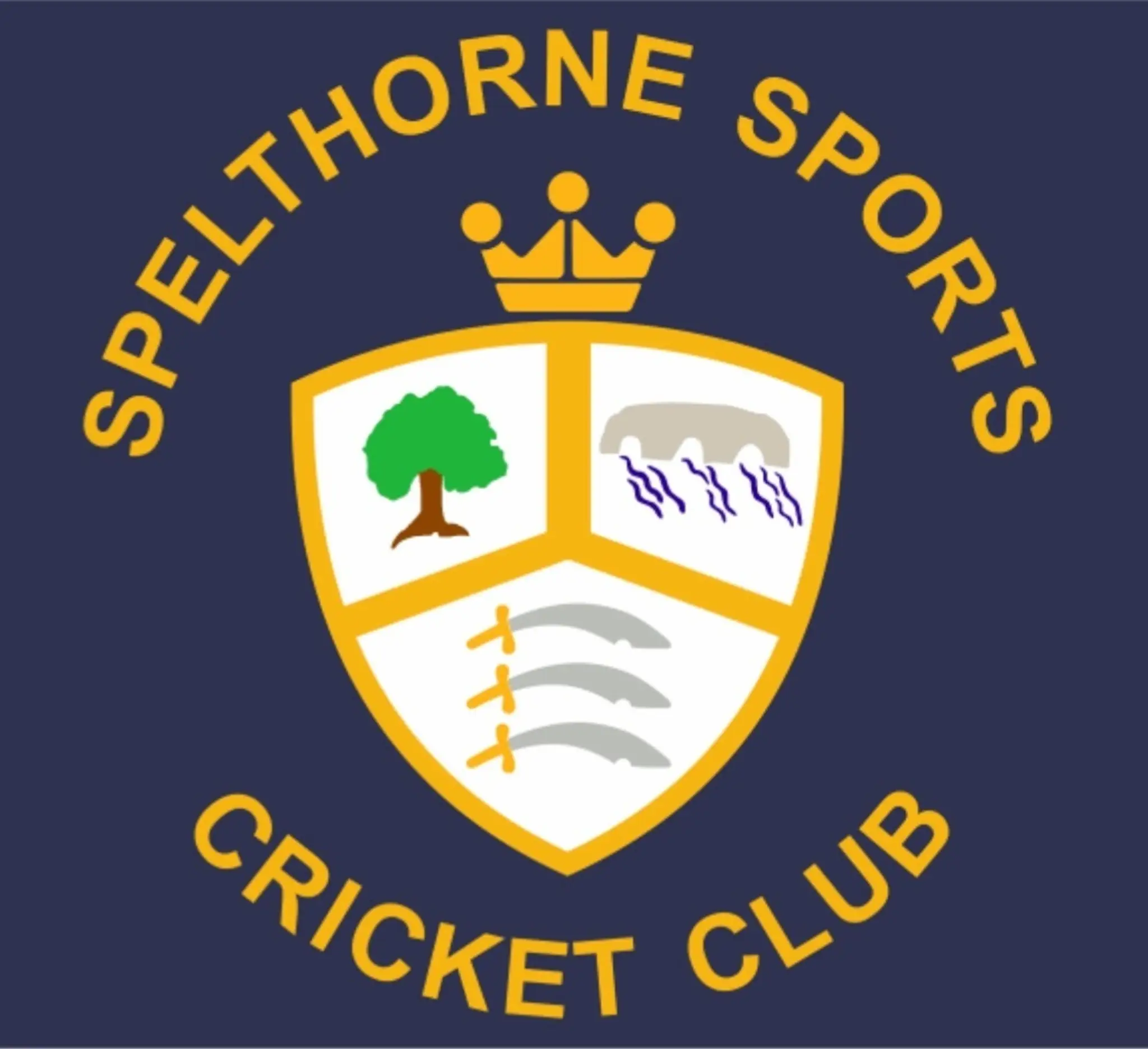 Spelthorne Sports Cricket Club