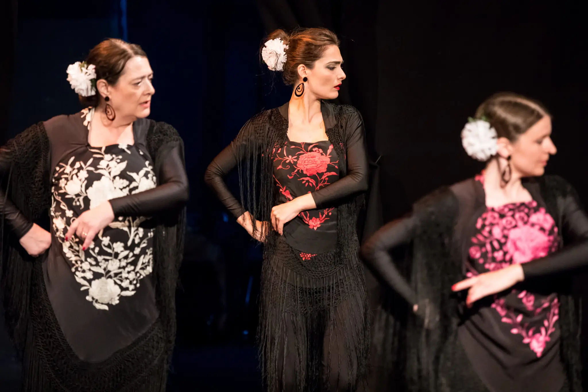 Flamenco Workshops Uk