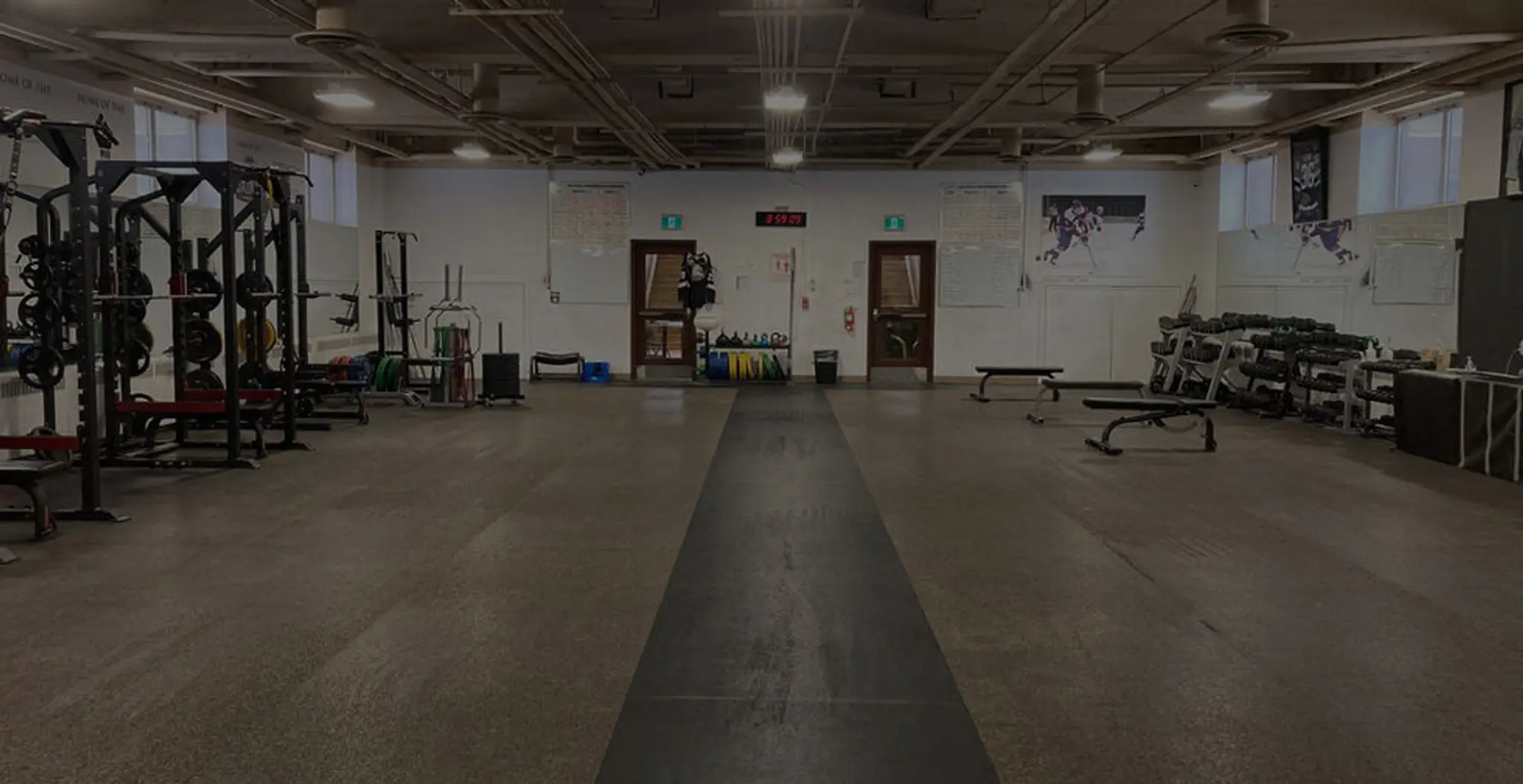 Synergy Fitness & Nutrition