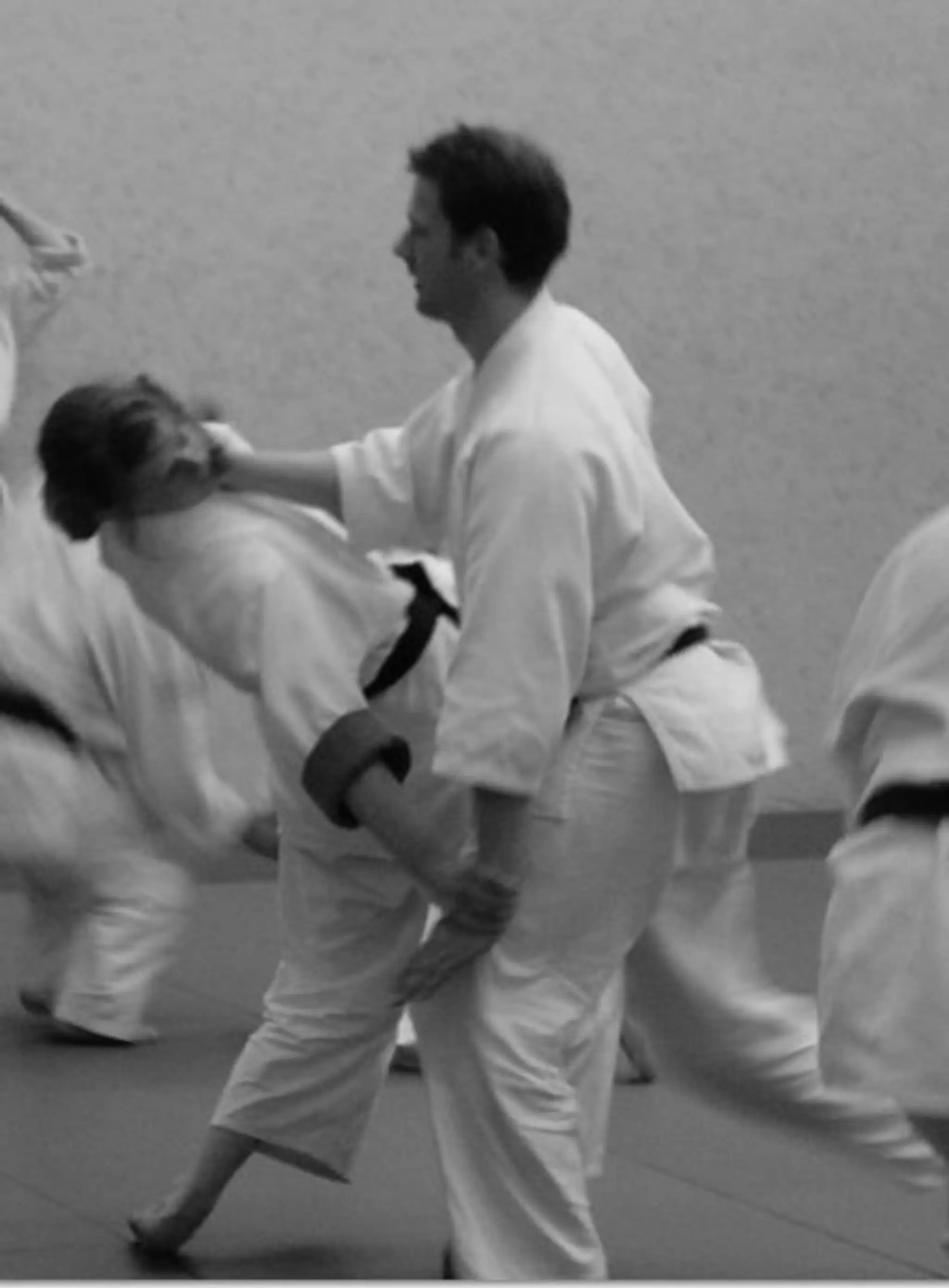 Sussex Sport Aikido Club