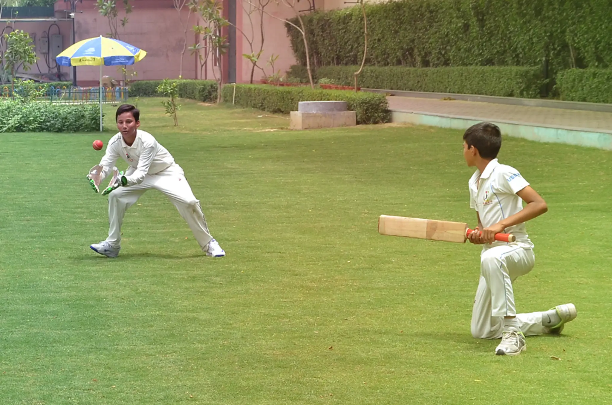 MADE EASY Cricket Academy