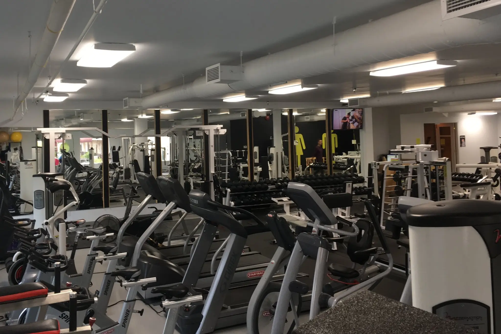 Le gymnase