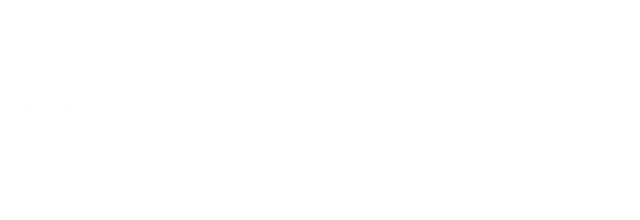 Woodford Sport Science Consulting (WSSC)