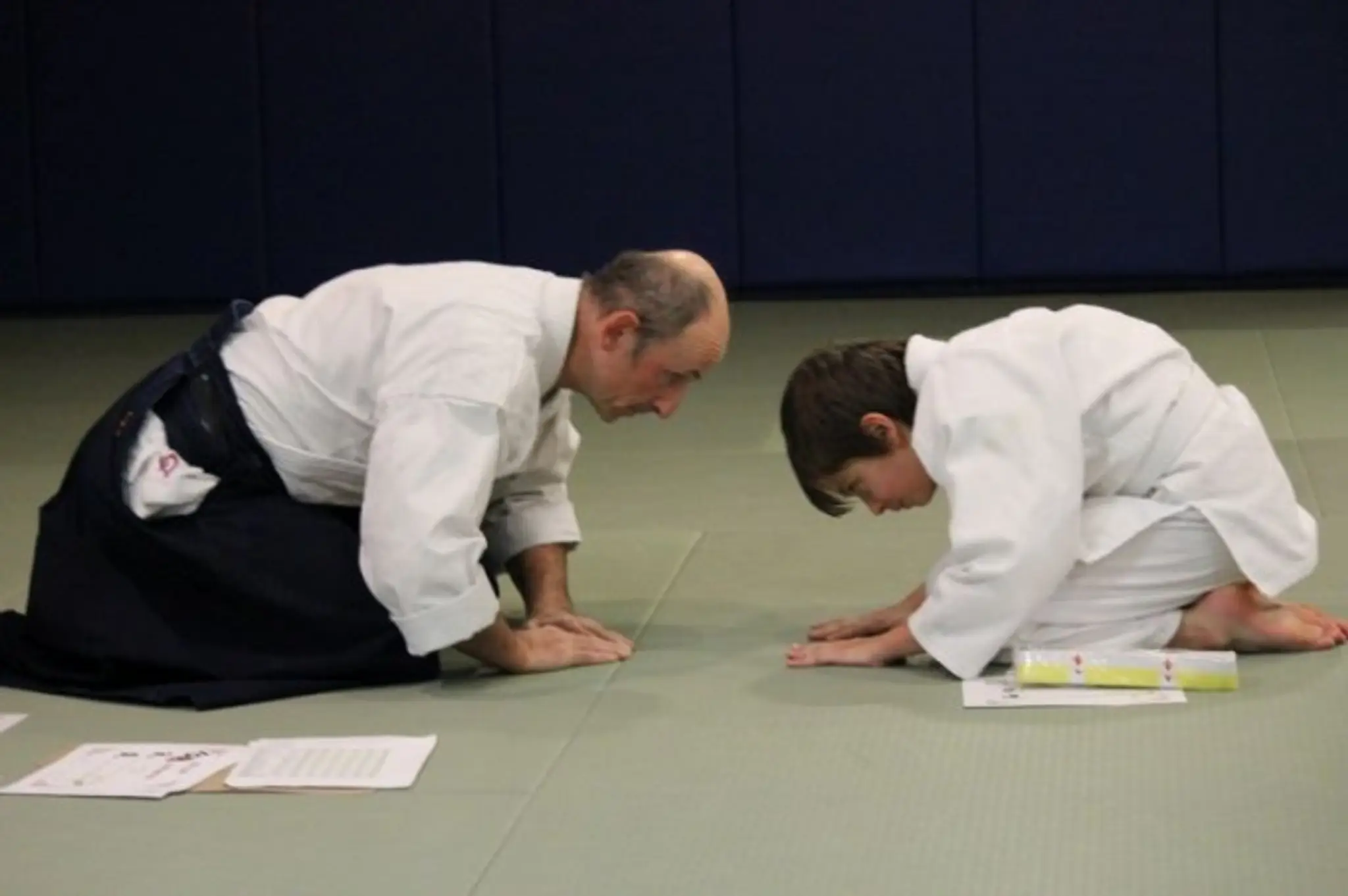 Aikido Bugokoro