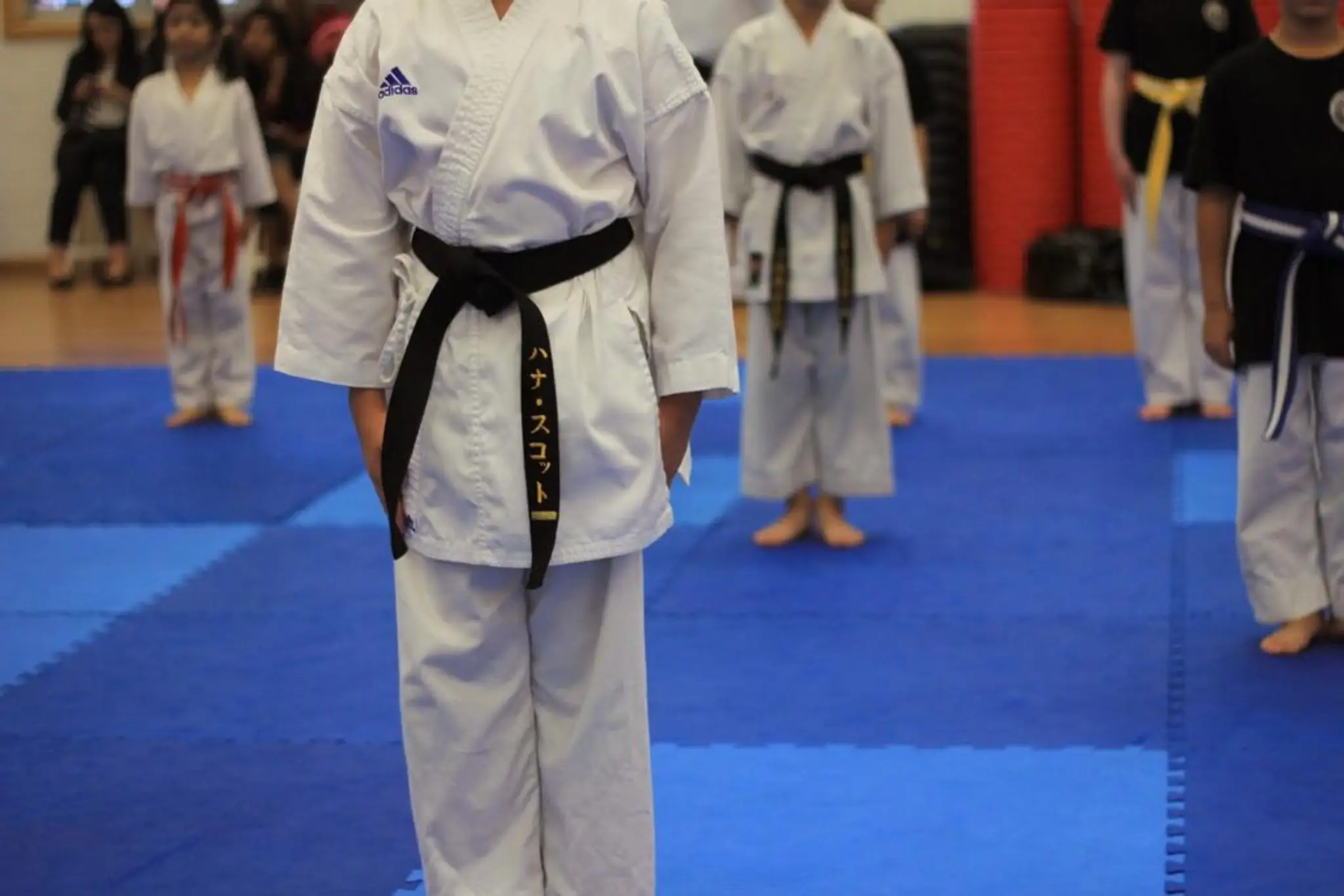 LionHeart Mixed Martial Arts.