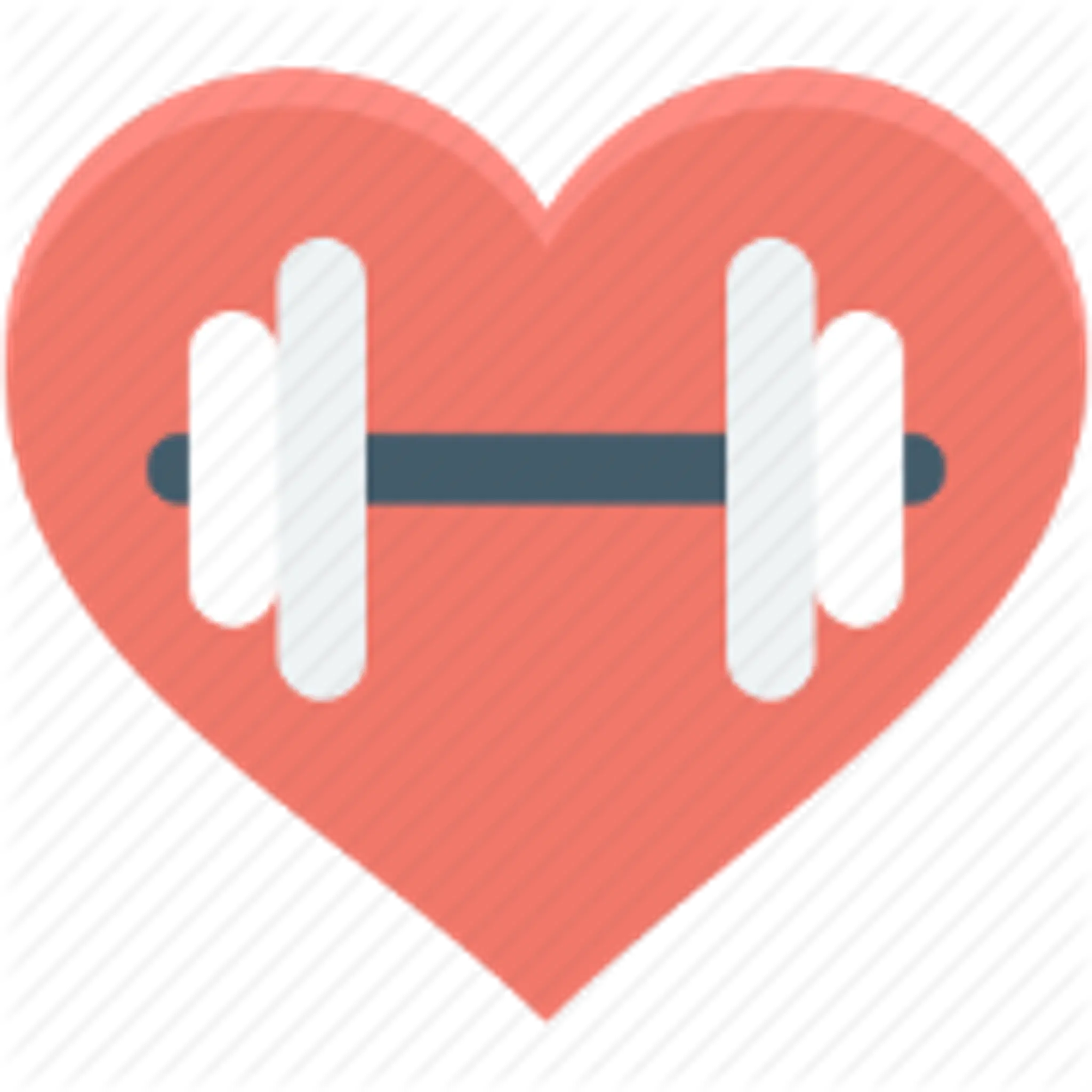 The Power strength gym
