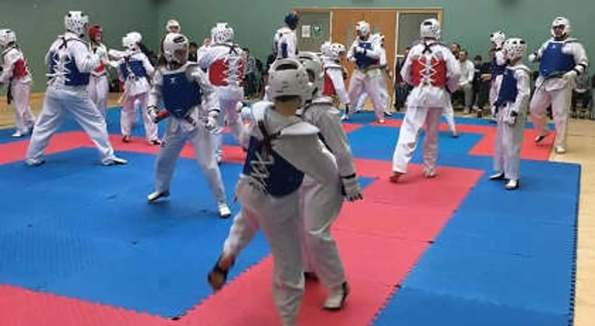 Ilyo Taekwondo Club Ireland