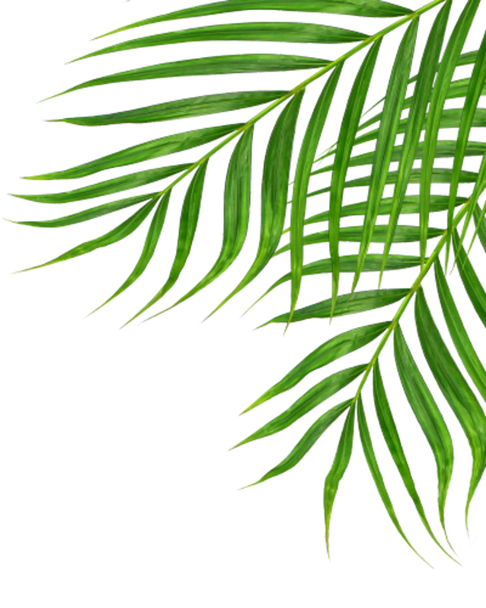 Pilates Nathalie Cadotte