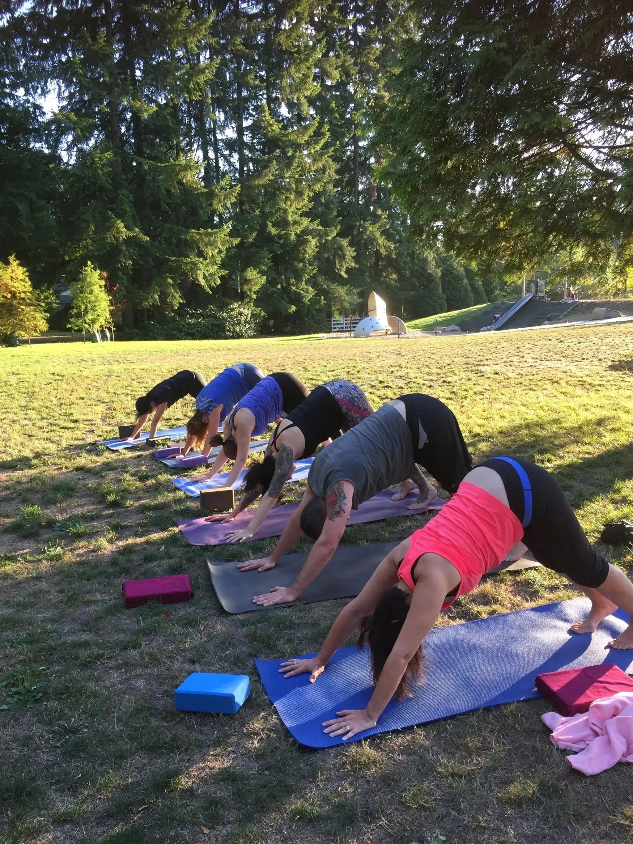 Shannon Komar (Brundrett) Yoga & Reiki