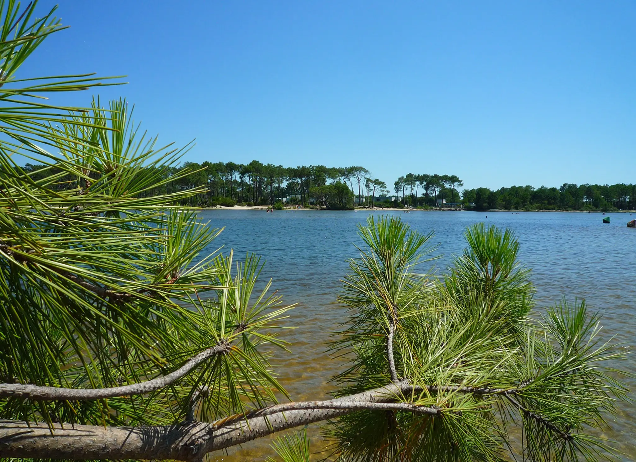 Cris Loisirs Location Stand Up Paddle Et Kayak Plage Du Moutchic