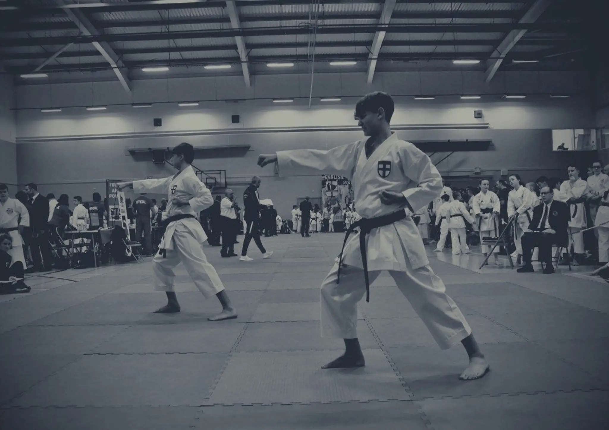Seishin-do Shukokai Karate