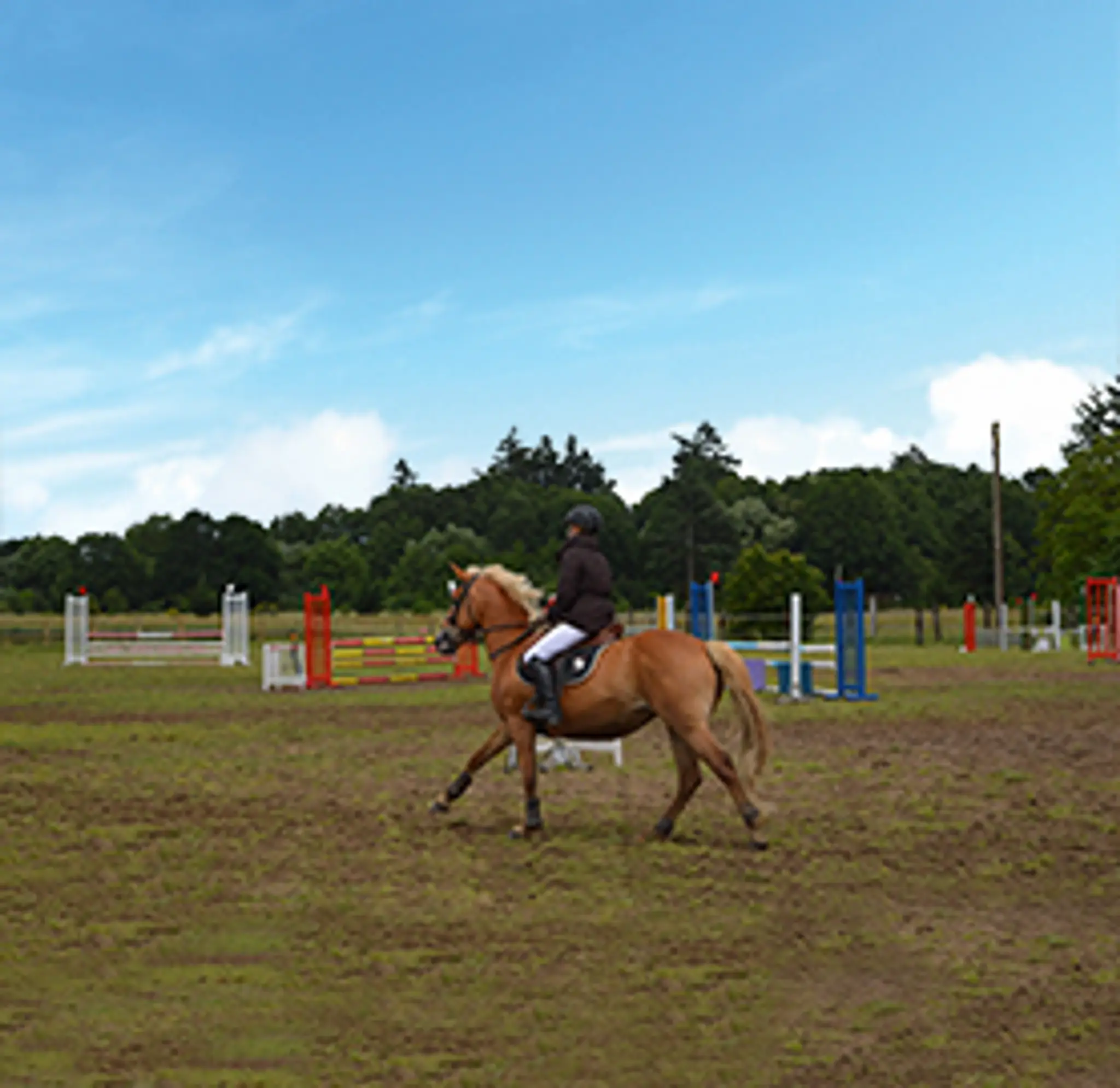 CENTRE EQUESTRE DE BEAUGENCY