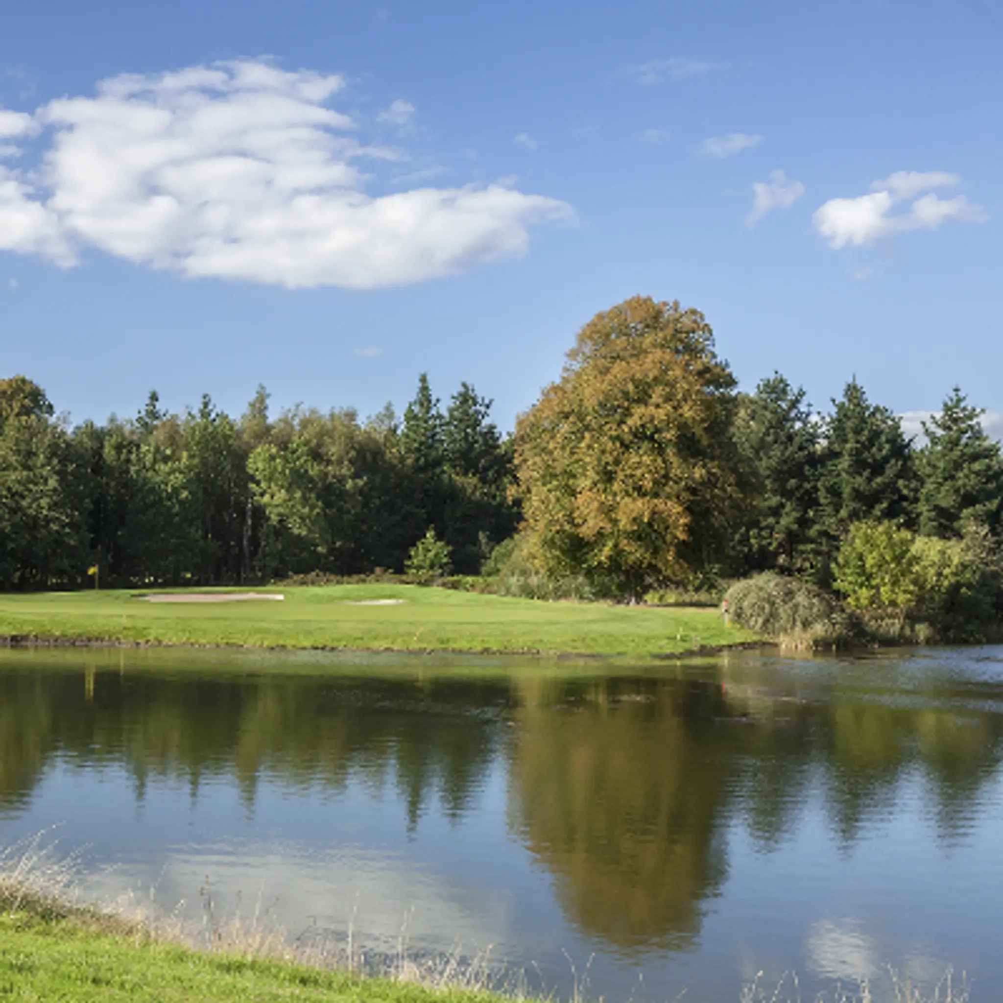Fota Island Golf Club