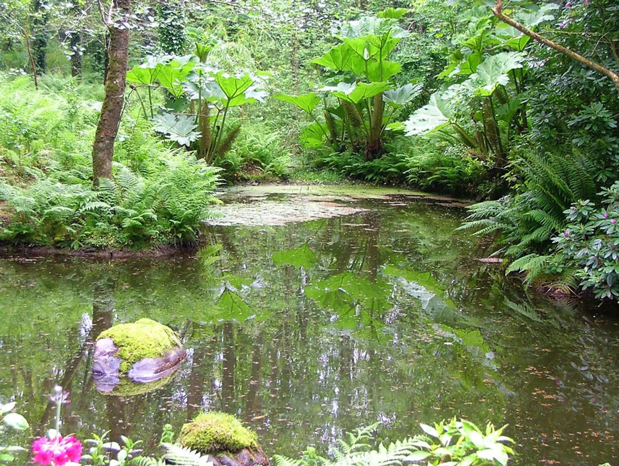 Embrace Yoga and Health