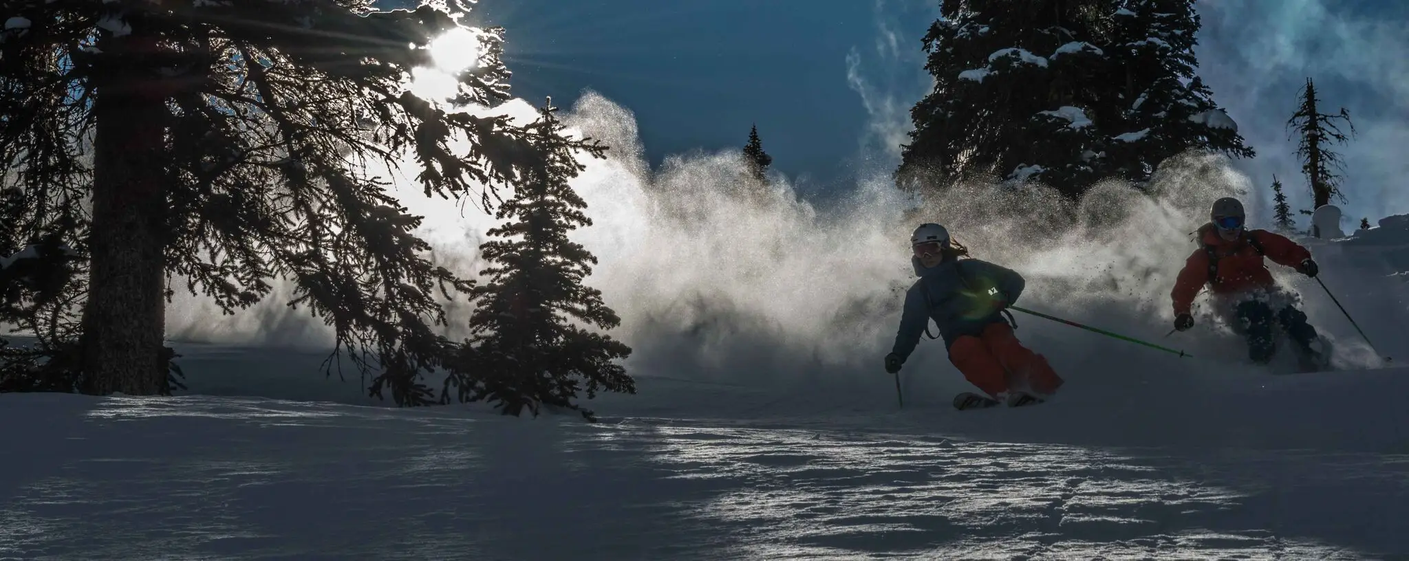 Adrenalin Descents Backcountry Ski Guides