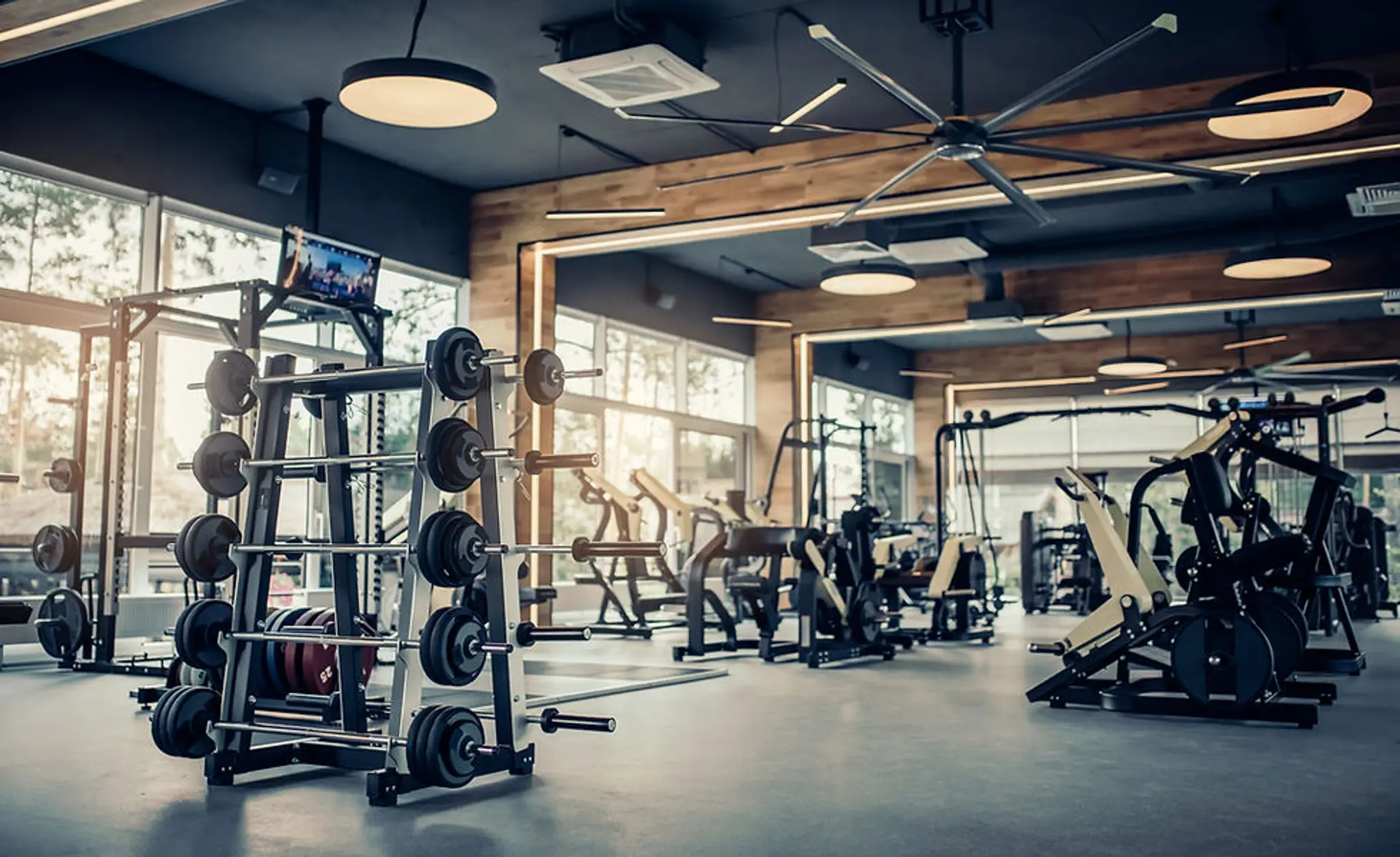 Evolved Physiques Personal Trainer & Online Coach