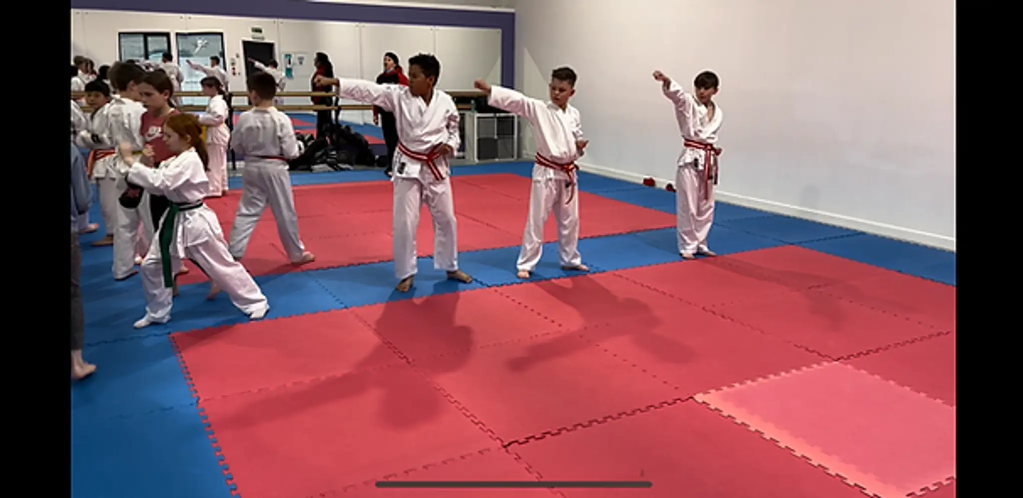 Alford Karate