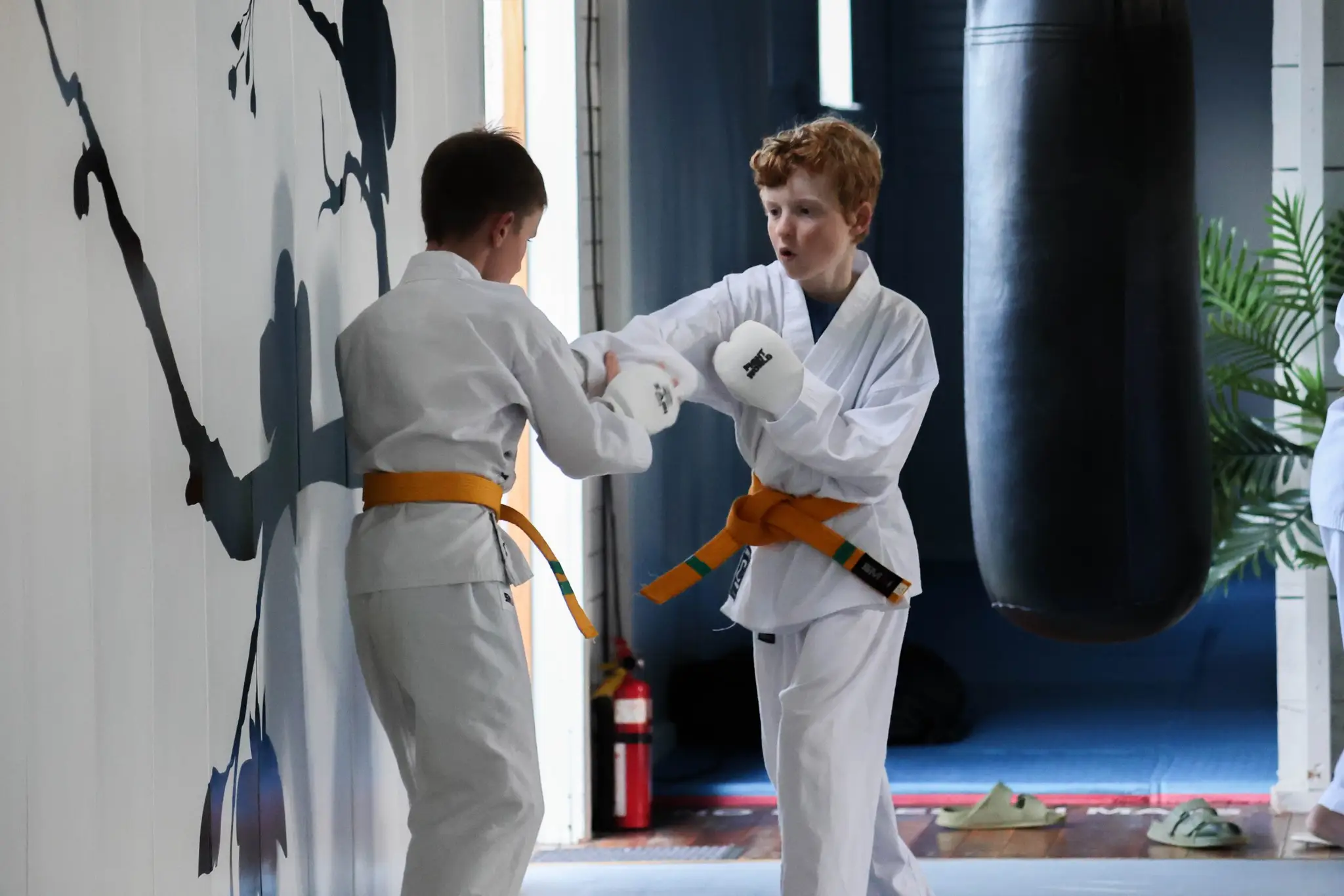 Hall of Martial Arts Taumarunui