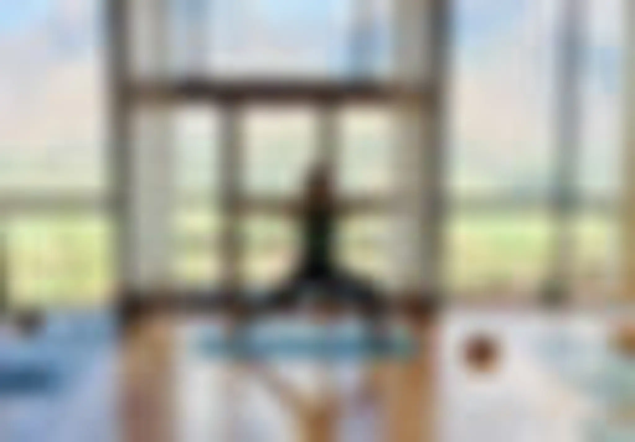 Pure Divine Yoga & Wellness