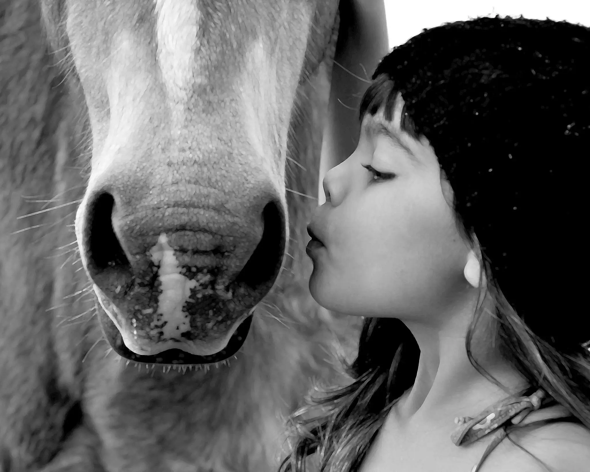 Town & Country Equestrian