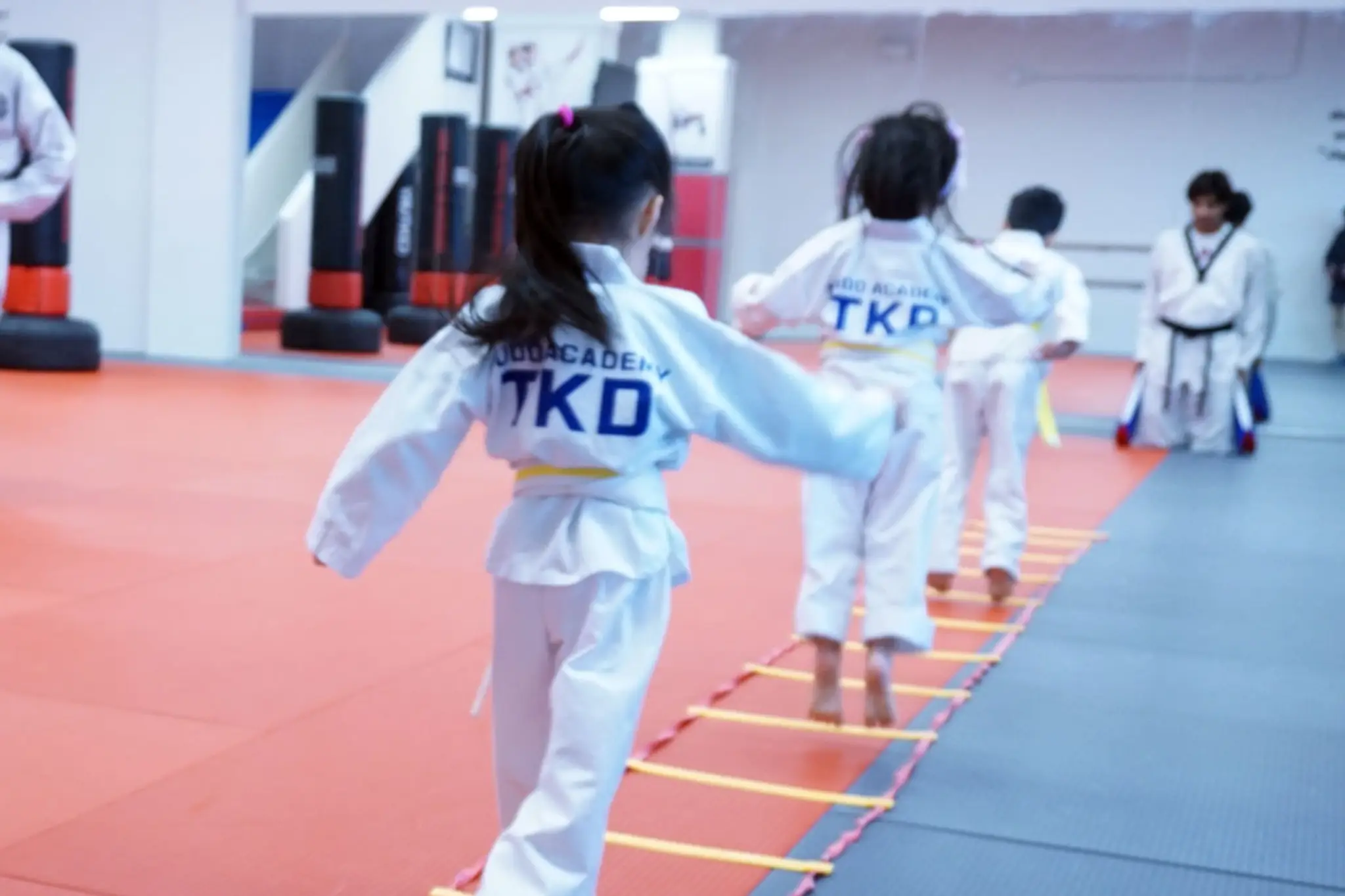 Mudo Academy of Martial Arts