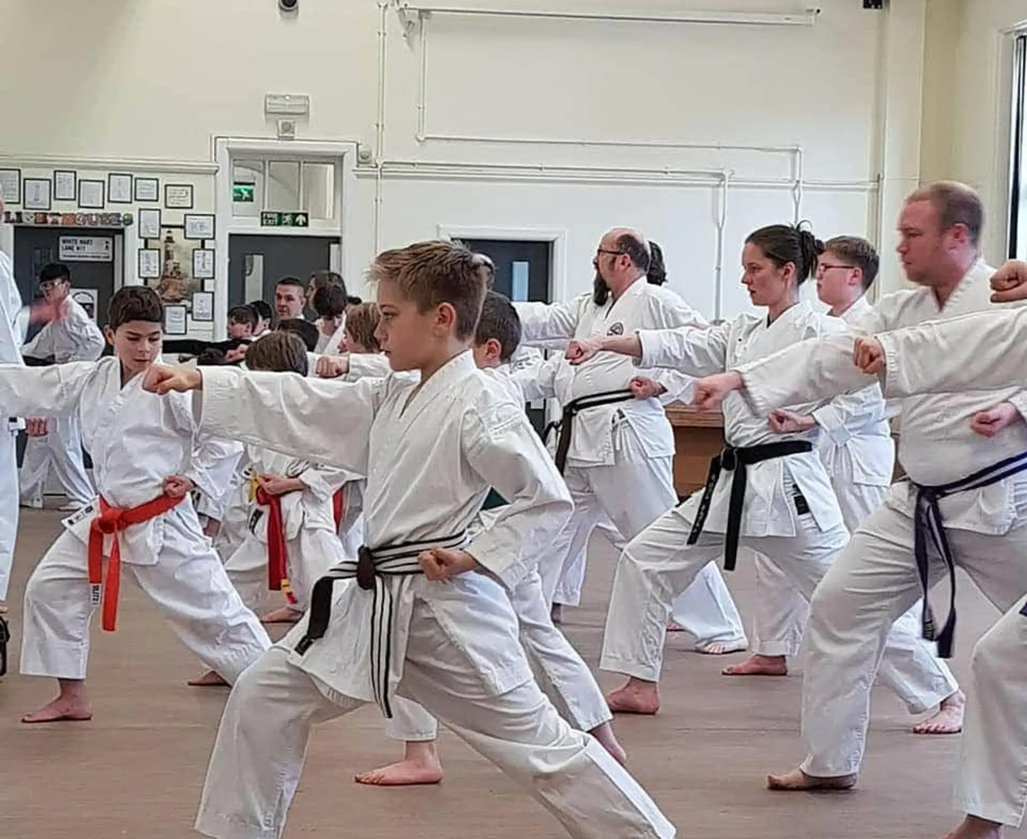 Hadashi Senshi Do Karate