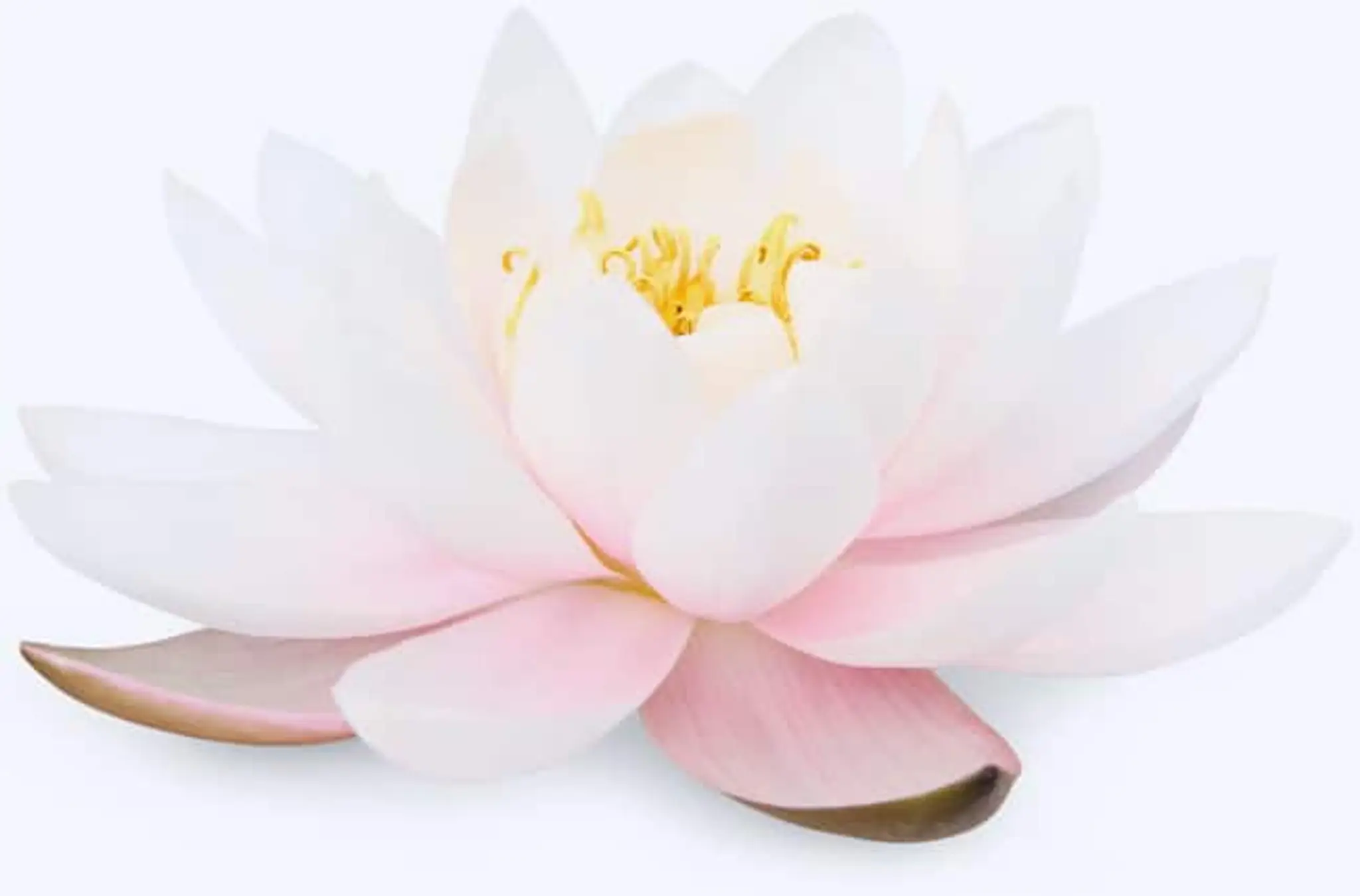 Breathe Mindfulness Centre