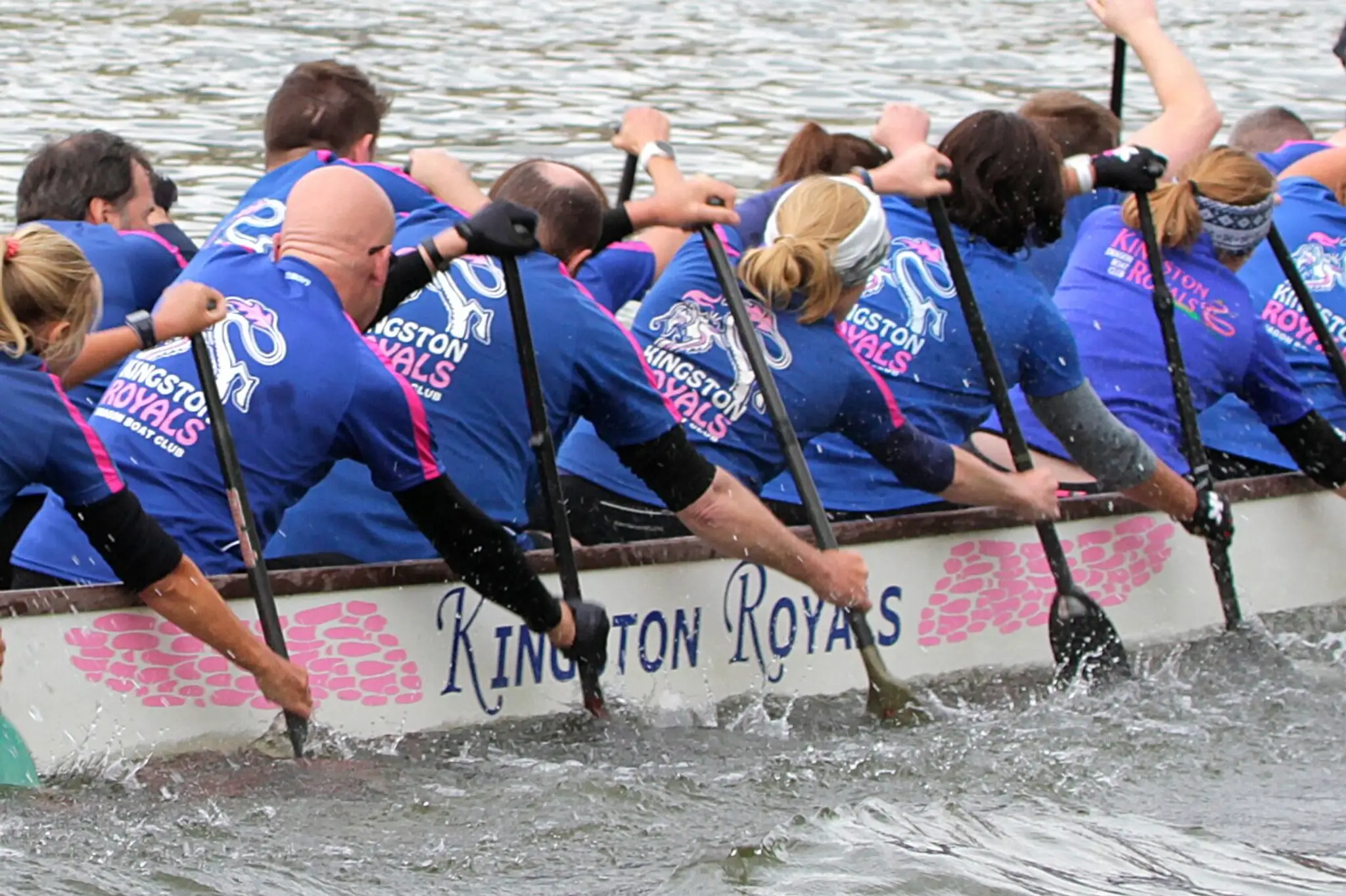 Kingston Royals Dragon Boat Club