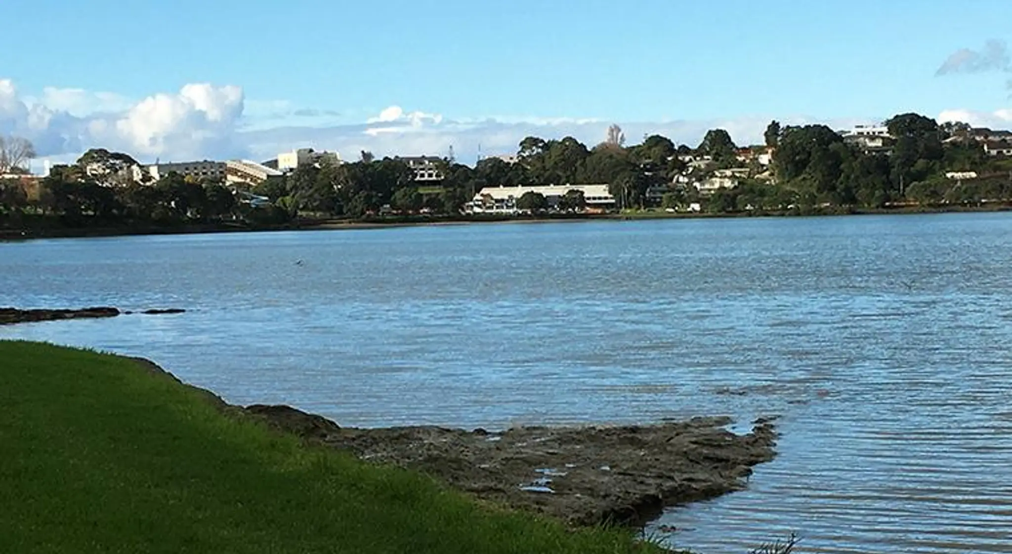 Panmure Basin