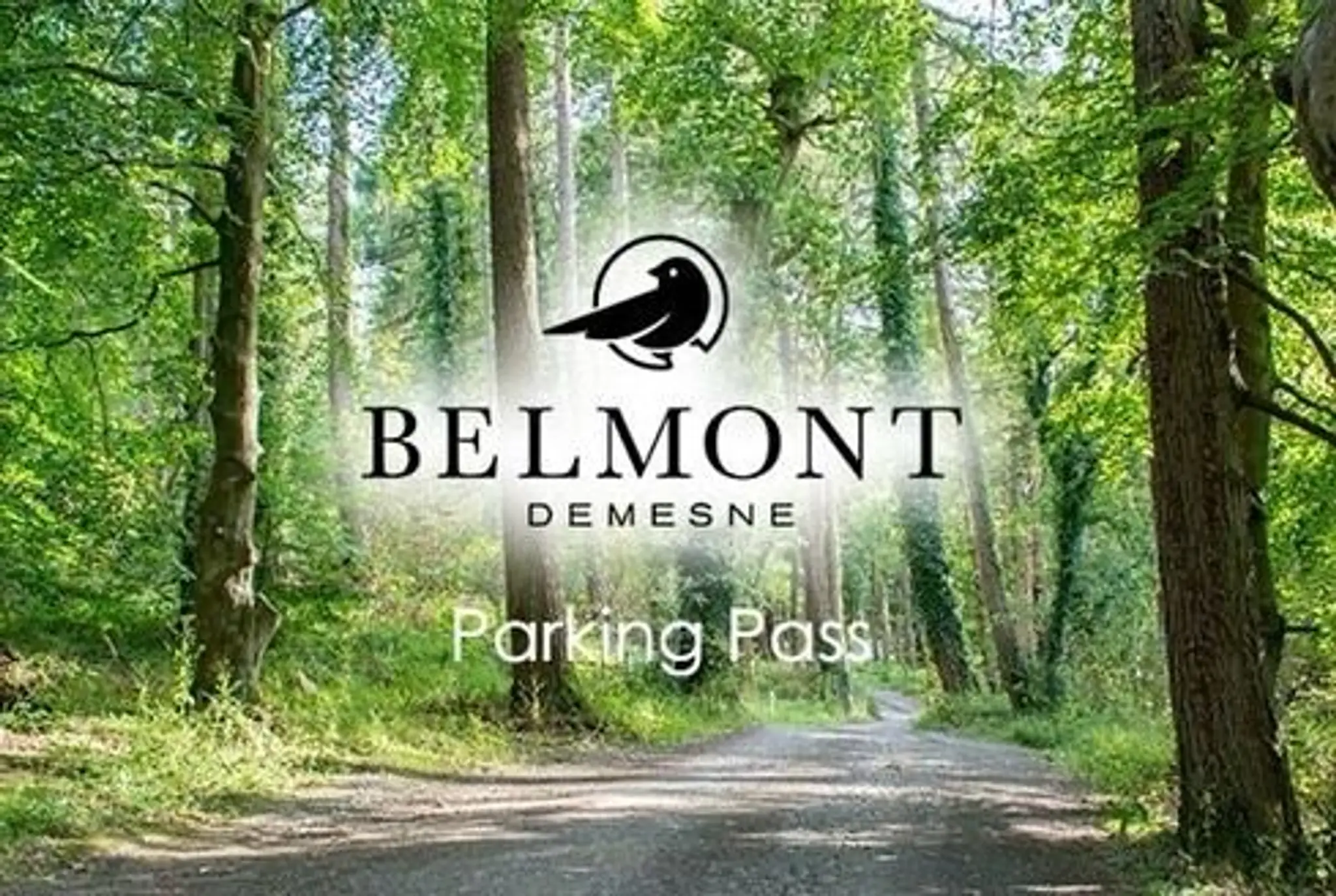 Belmont Demesne