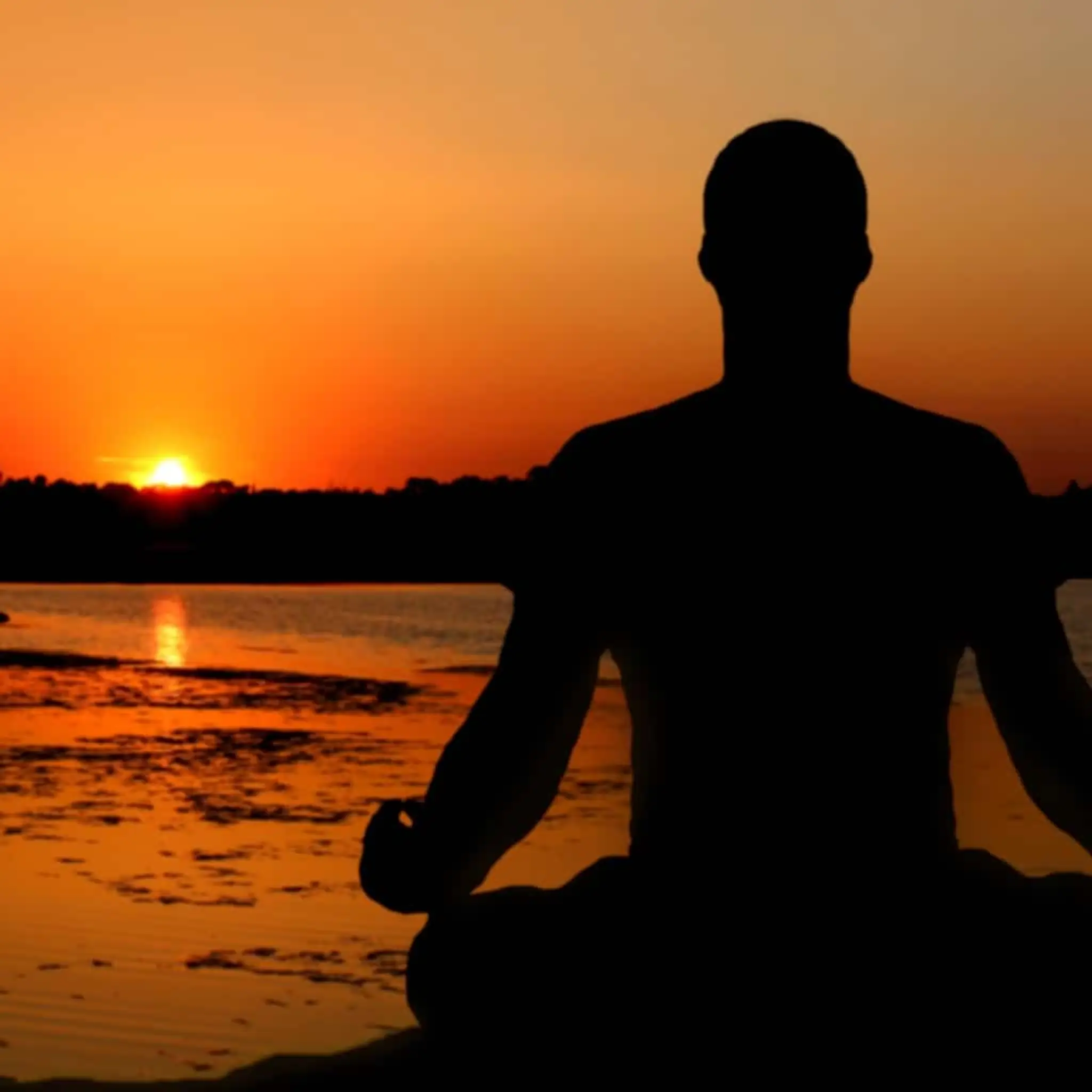 Yoga Solidaire