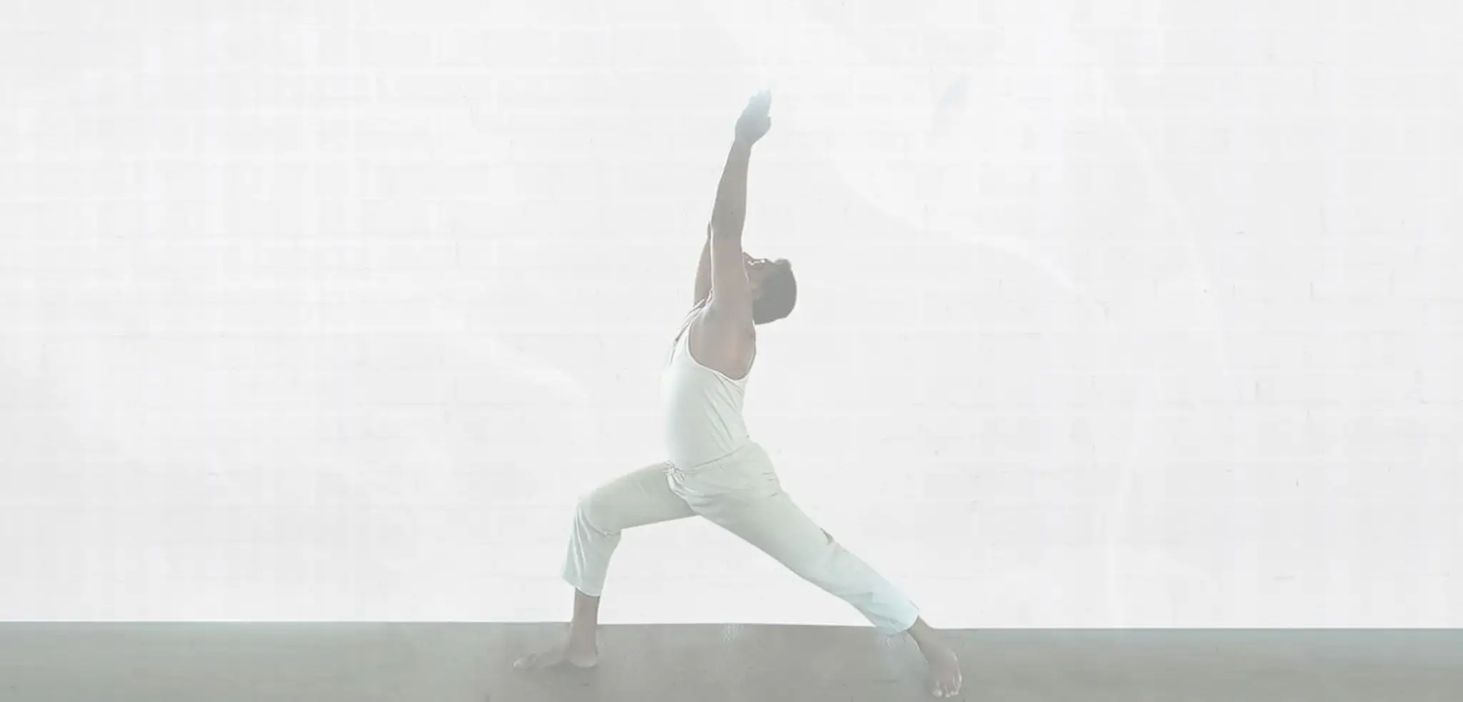 SAMSKRITI YOGA VAIDYA NILAYAM