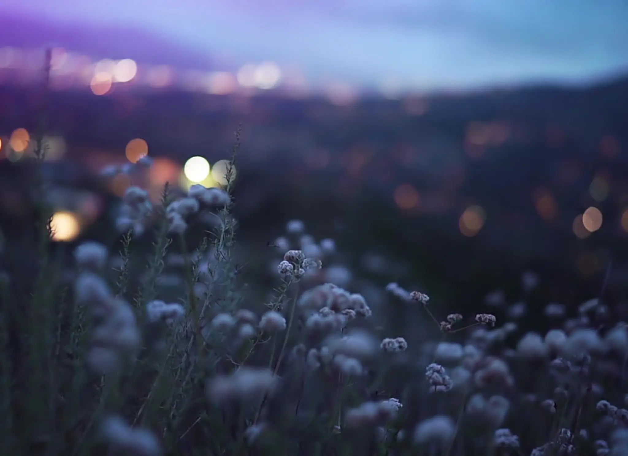 Champfleurie Stables