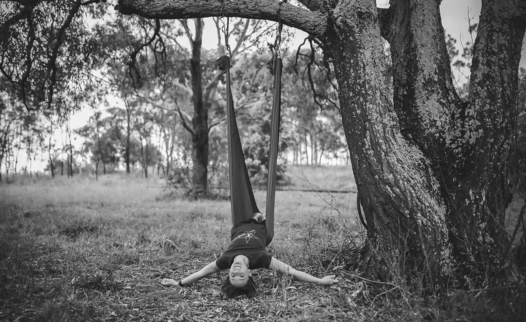 The Tree House Aerial Studio