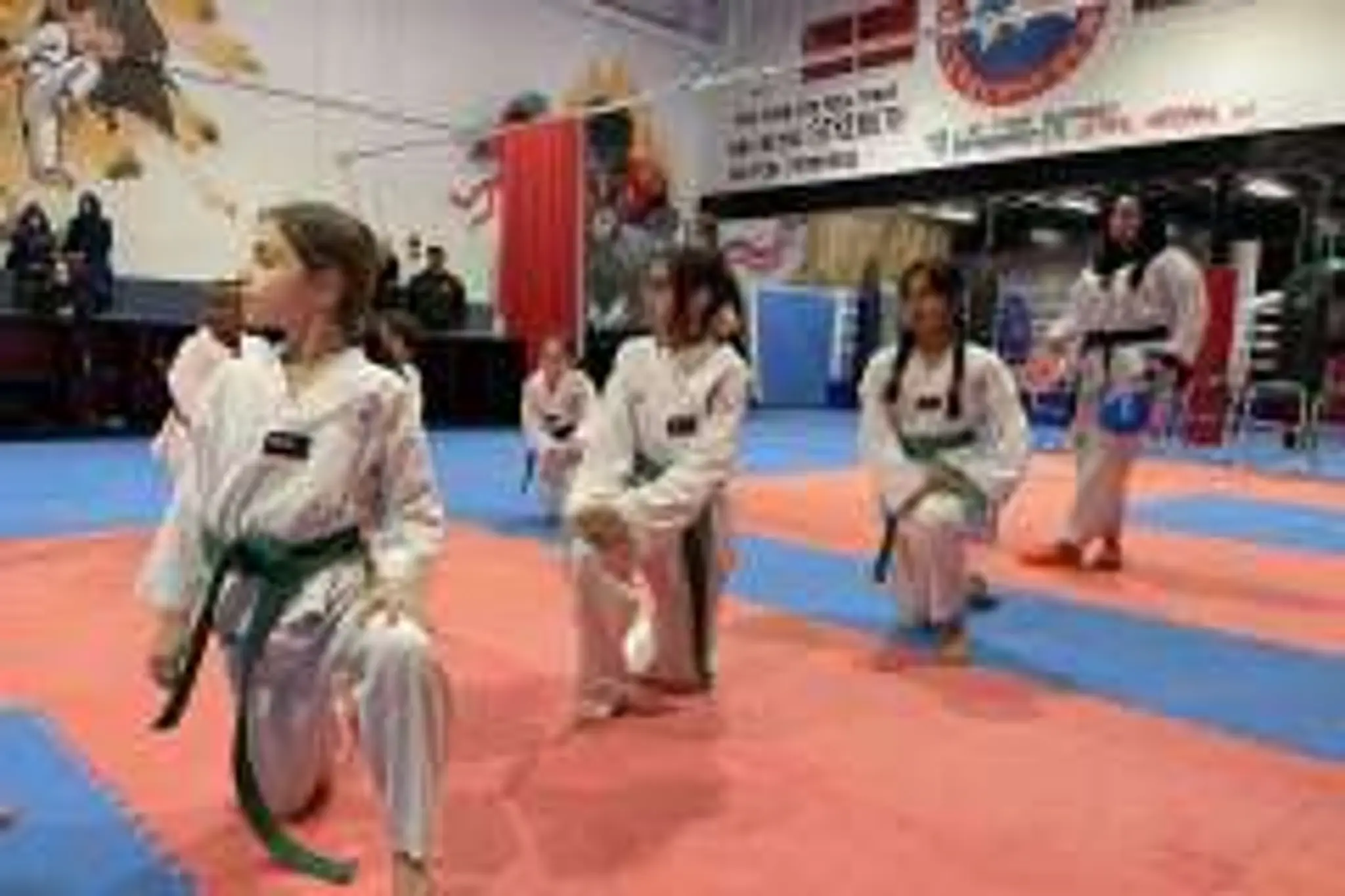 Olympic Martial Arts Centre