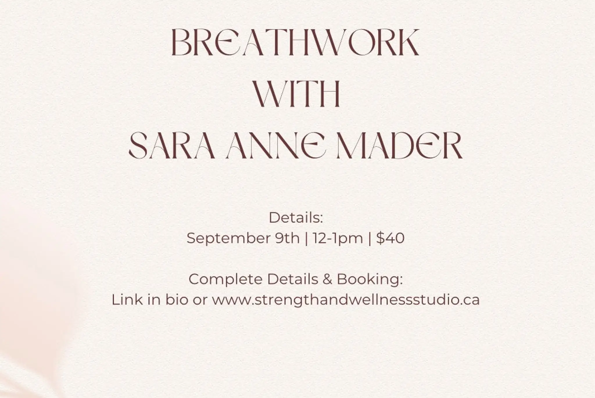 The Strength & Wellness Studio