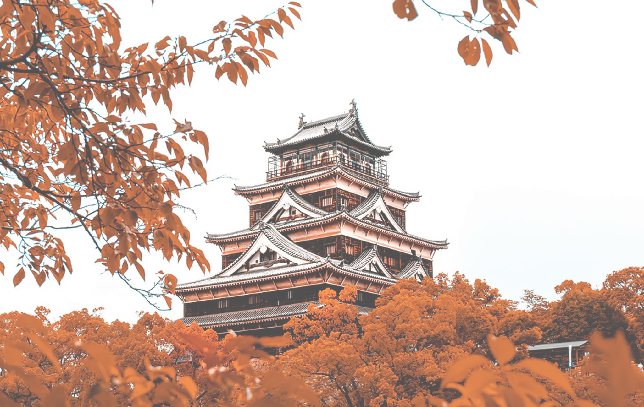 Wa-No-Michi Karate Academy