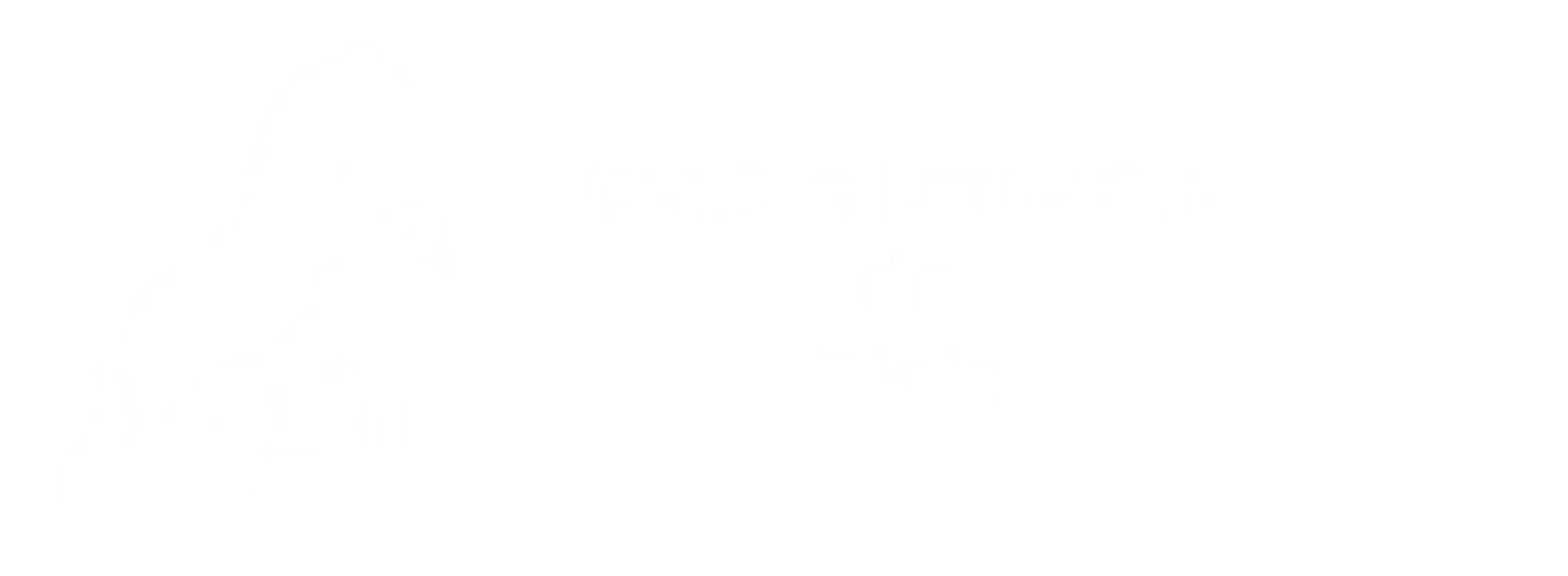 Blois Horse Riding School