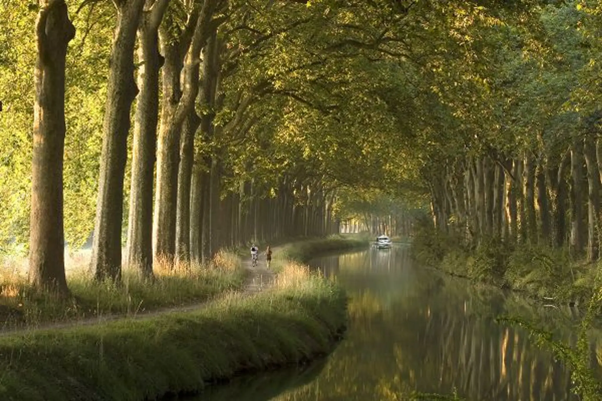 Gîte de la Fenouillette